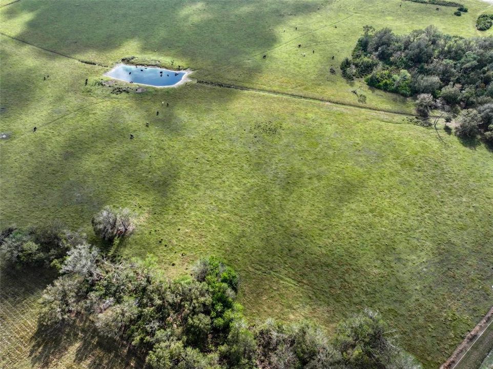 For Sale: $1,650,000 (40.00 acres)