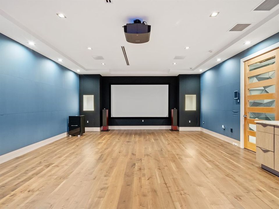 Theatre Room