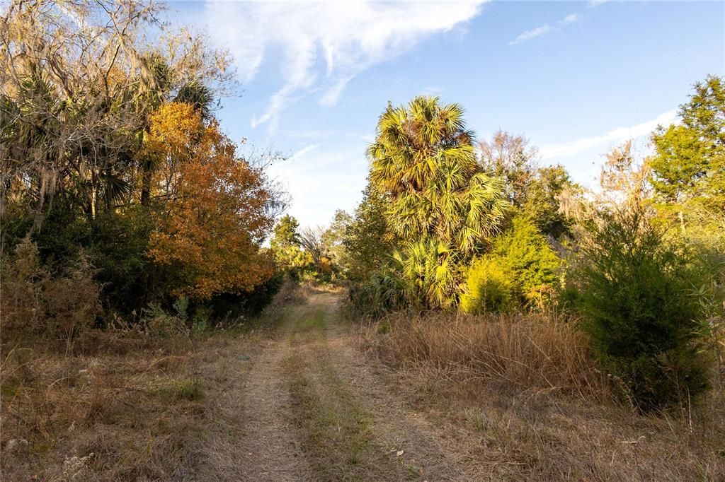 For Sale: $2,225,000 (300.72 acres)