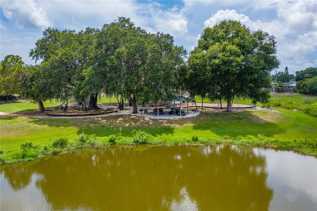 Pond in the park