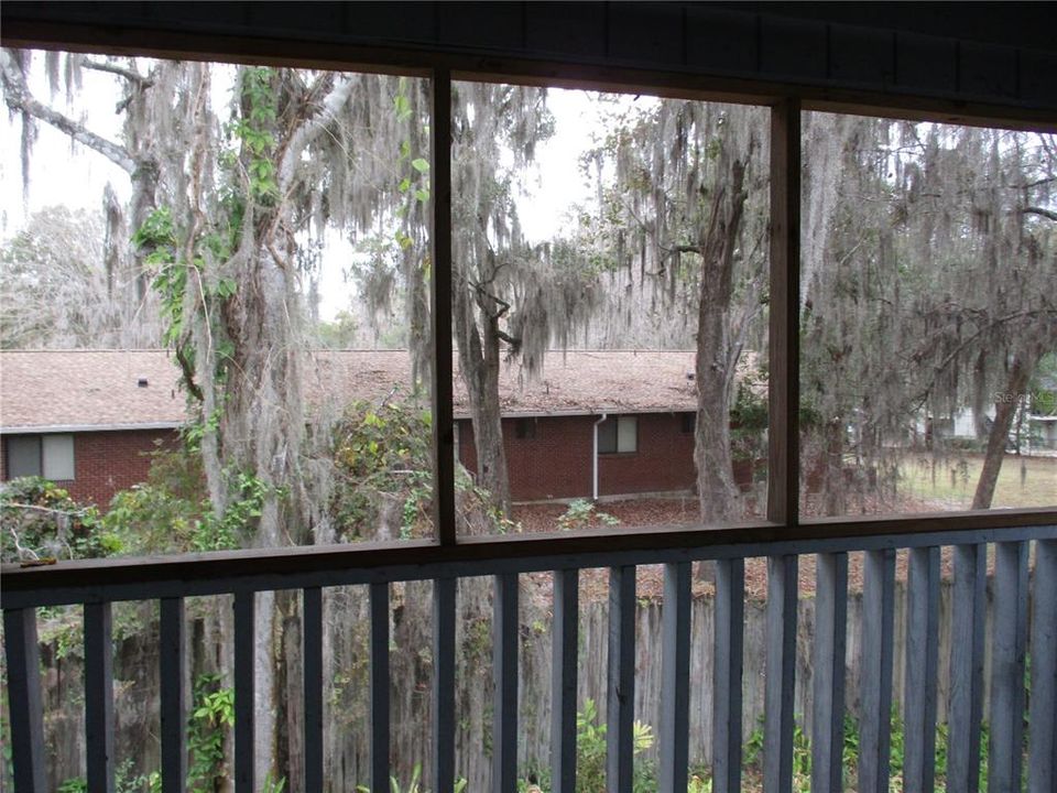 View from screened porch