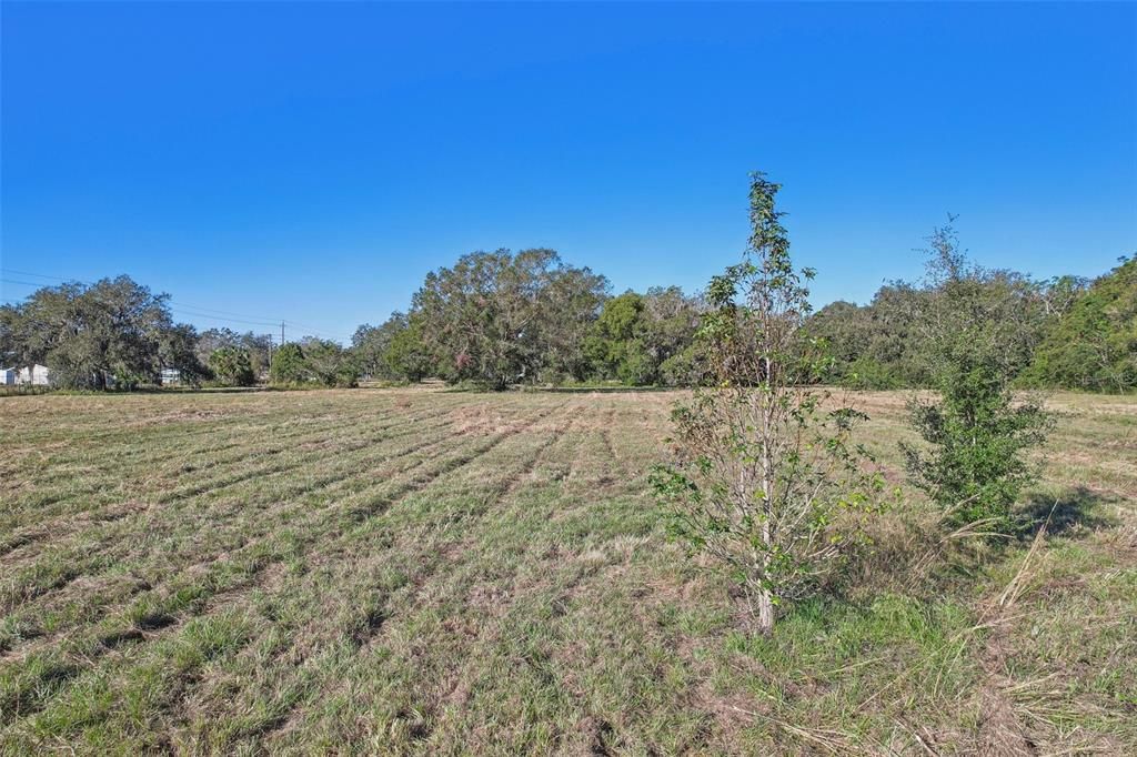 For Sale: $315,000 (7.61 acres)