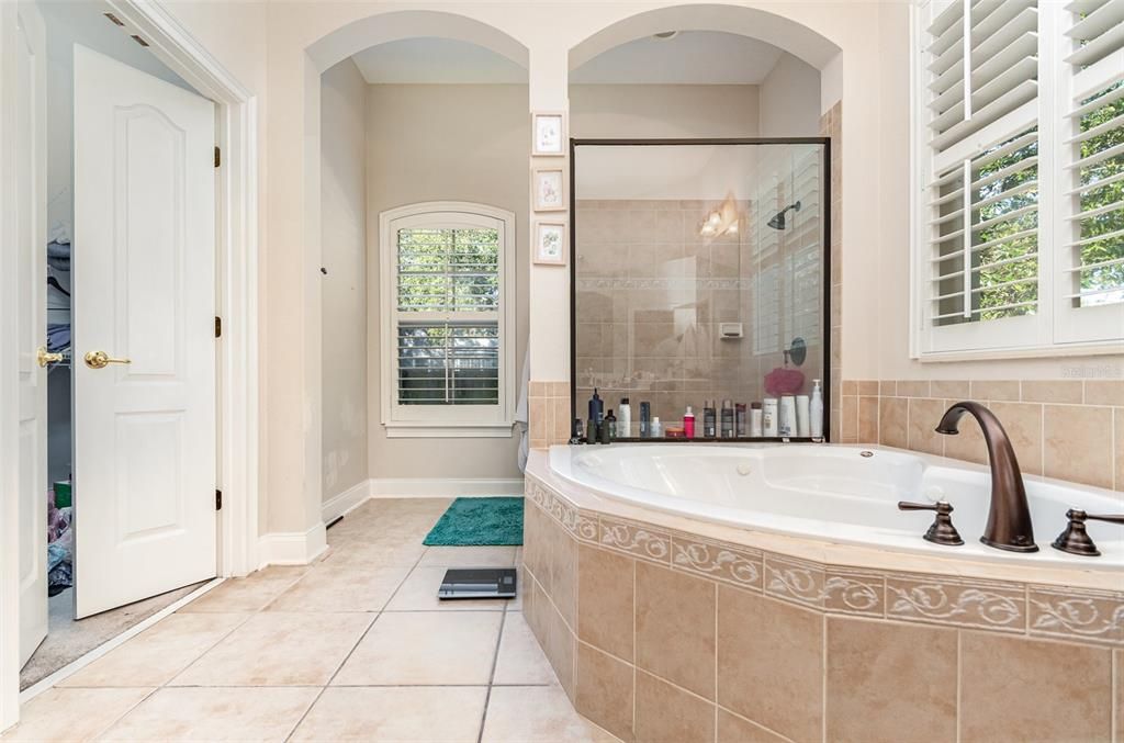 Master Bath with jetted tub in forefront with Shower Enclosure beyond