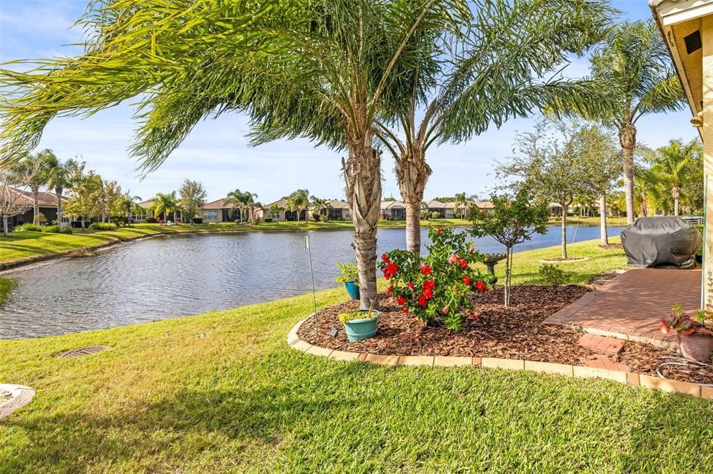 Lush back landscape