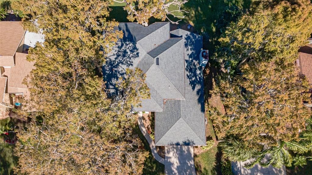 Aerial view of the roof