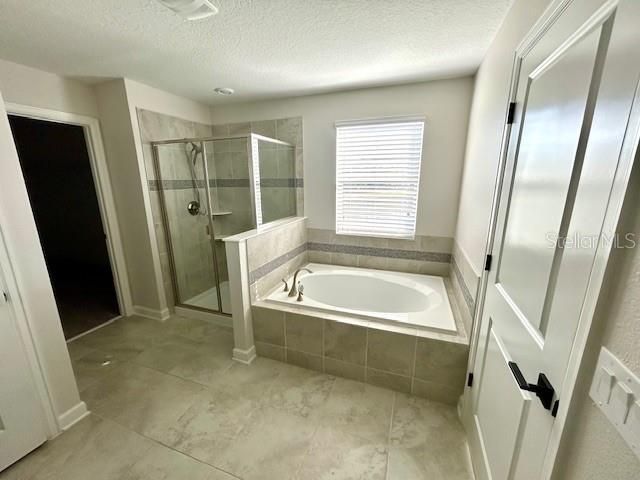 Master Bathroom Tub