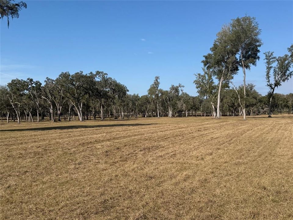 待售: $1,241,000 (51.70 acres)