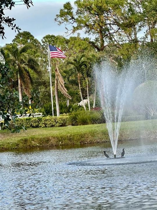 Water fountain and view behind unit 326; your view is the pond and wildlife