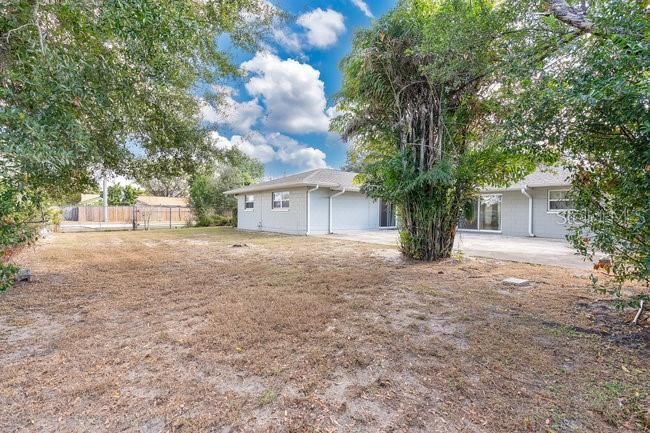 Large backyard space and a beautiful bamboo tree