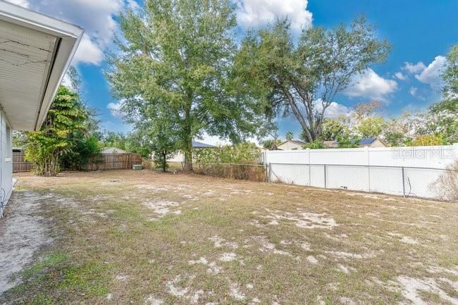 Another view of the backyard