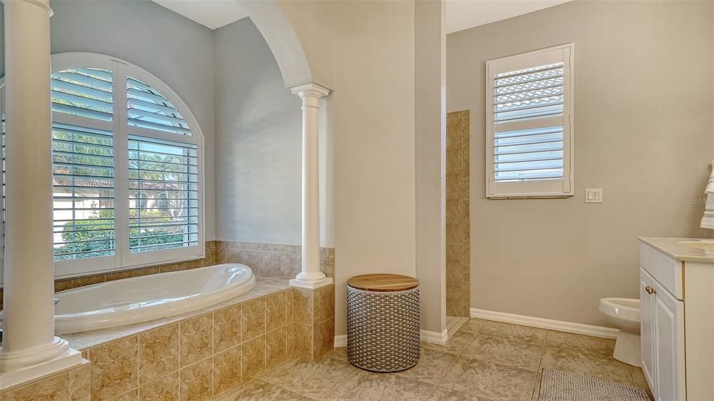 Imagine relaxing in this elegant tub!