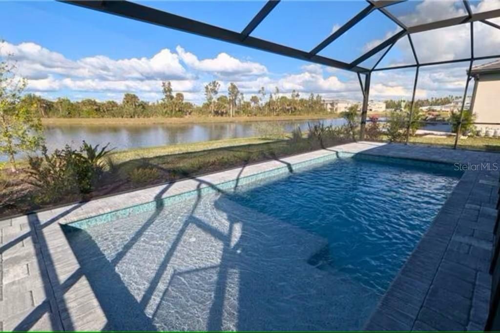 Beautiful pool with tanning ledge