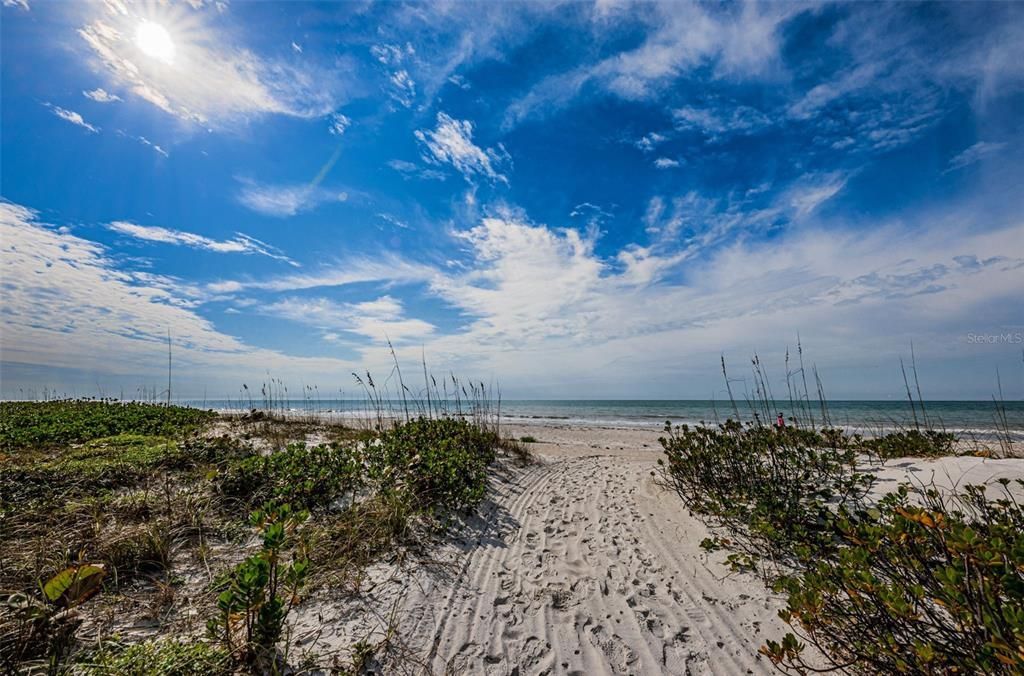 Sand Key Solitude