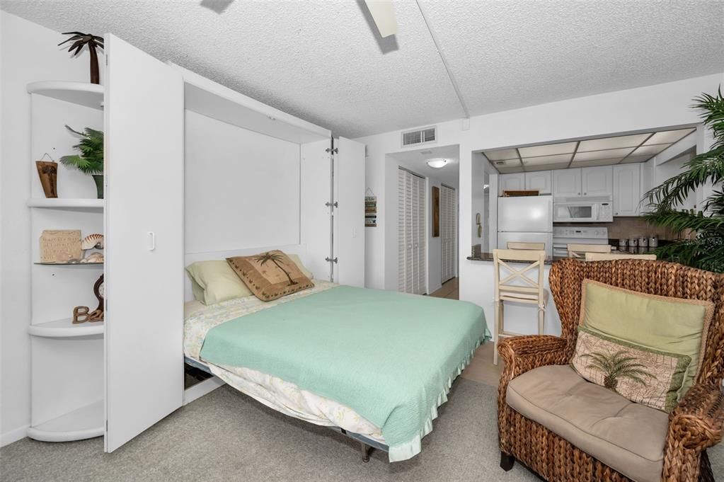 Studio offers Innovative Space Saving Murphy Bed with Generous Closet Space.