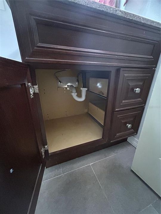 hall bath sink