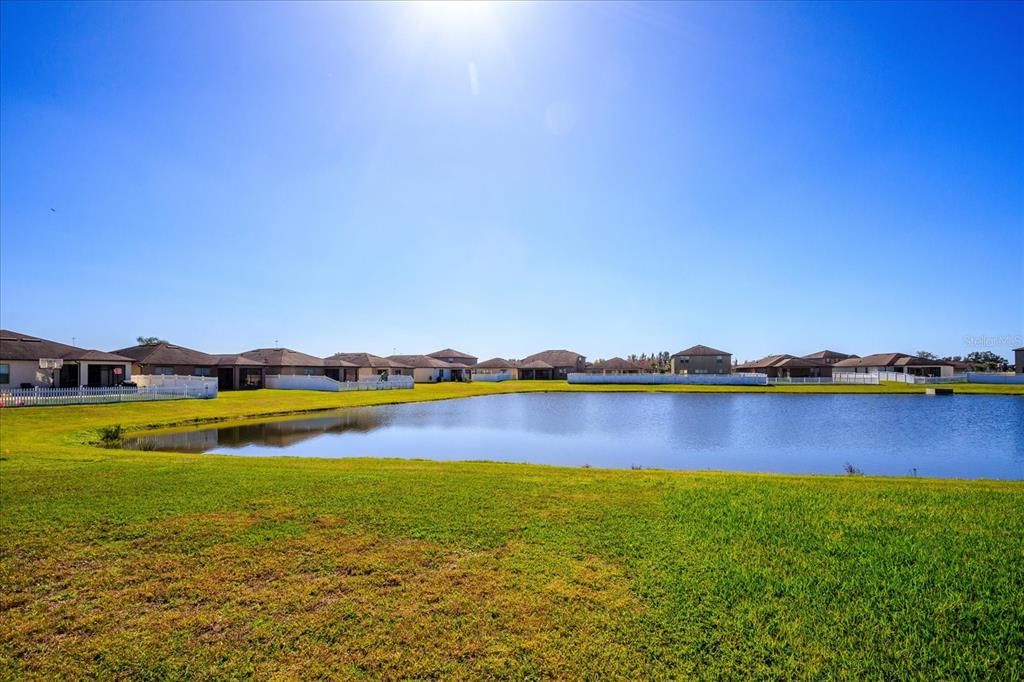 Backyard with Pond