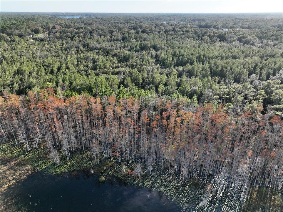 На продажу: $37,500 (0.65 acres)