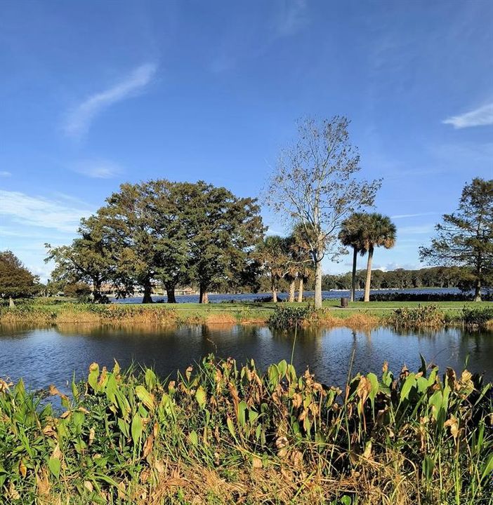 Local Venetian Park