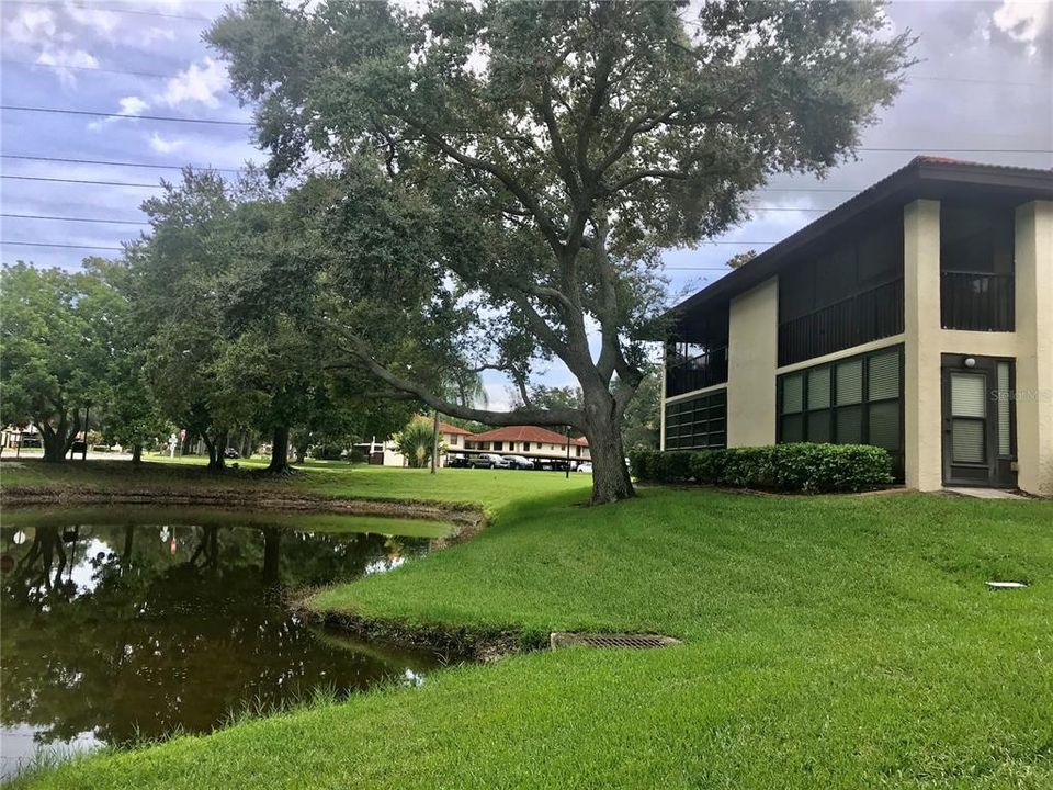 exterior view of lanai & pond