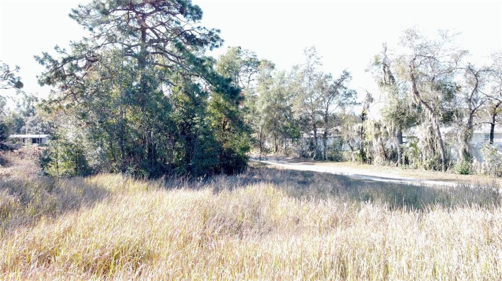 For Sale: $125,000 (1.31 acres)