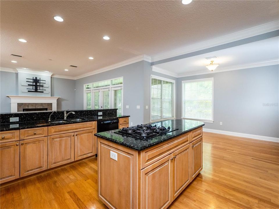 Kitchen view of the Great Room