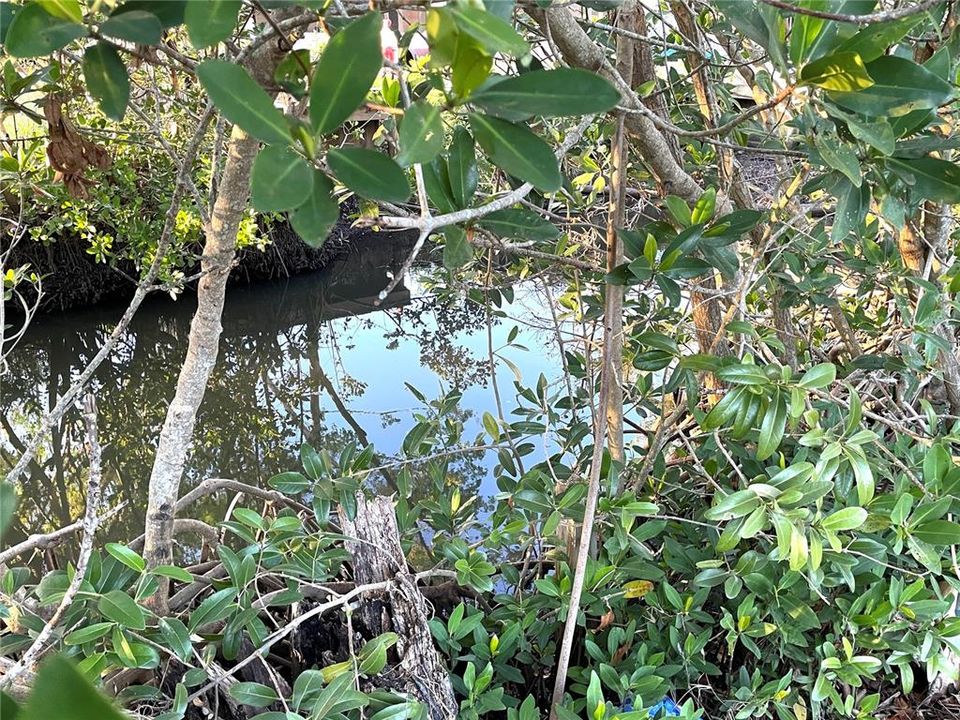 Canal with access to Tampa bay