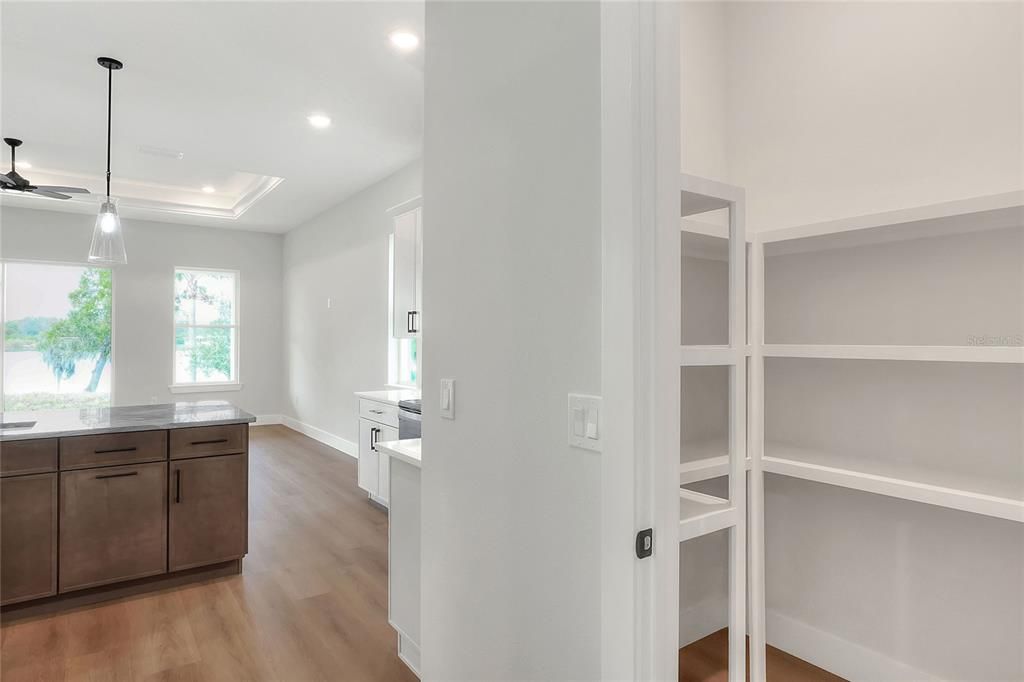 Kitchen Pantry