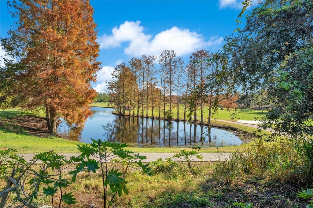 View of the Winter Park Pines Golf Course.