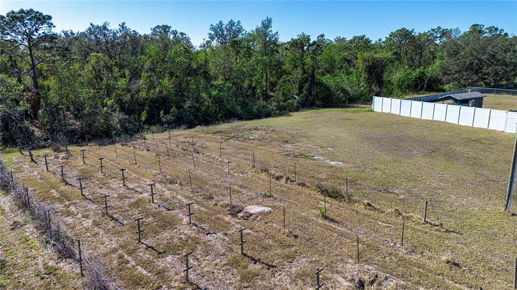 Side Lot used to be a blue berry orchard