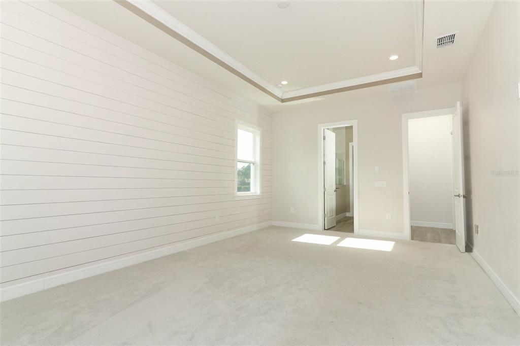 Master suite with tray ceilings and lots of natural light