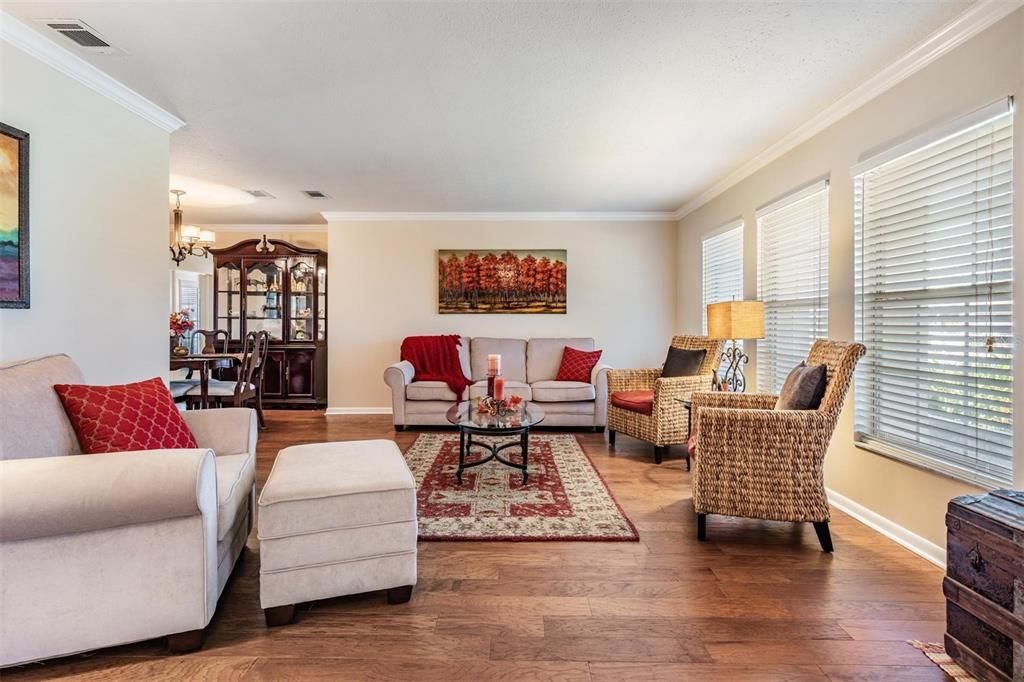 Living room - lots of natural light