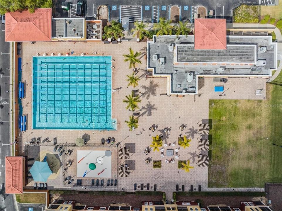 Lap pool at Carrollwood Country Club