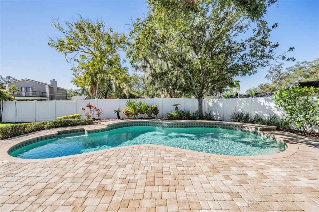 Pool and vinyl fencing for backyard