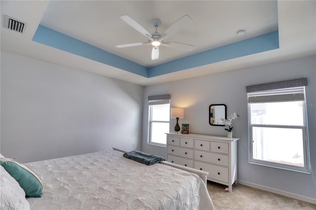 Tray Ceiling in Primary BR