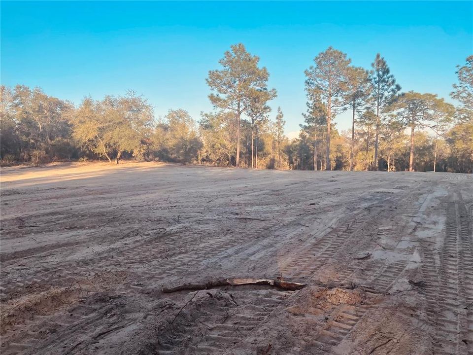 middle left looking from at possible home site