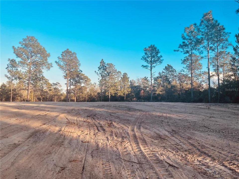 center of back looking at possible home site