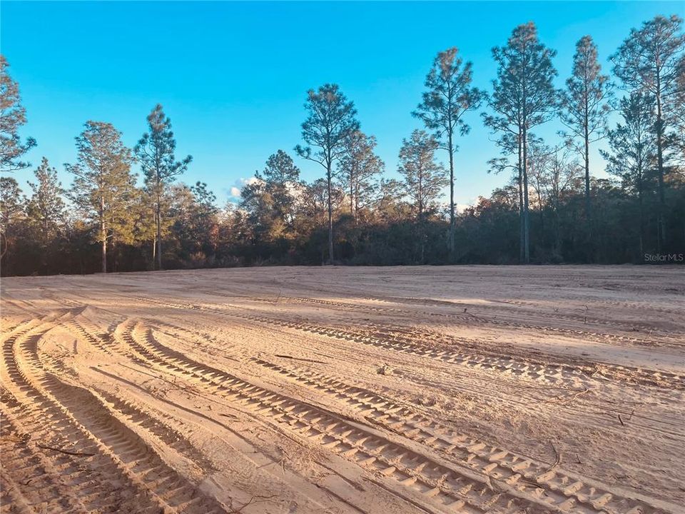 back view looking at possible home site