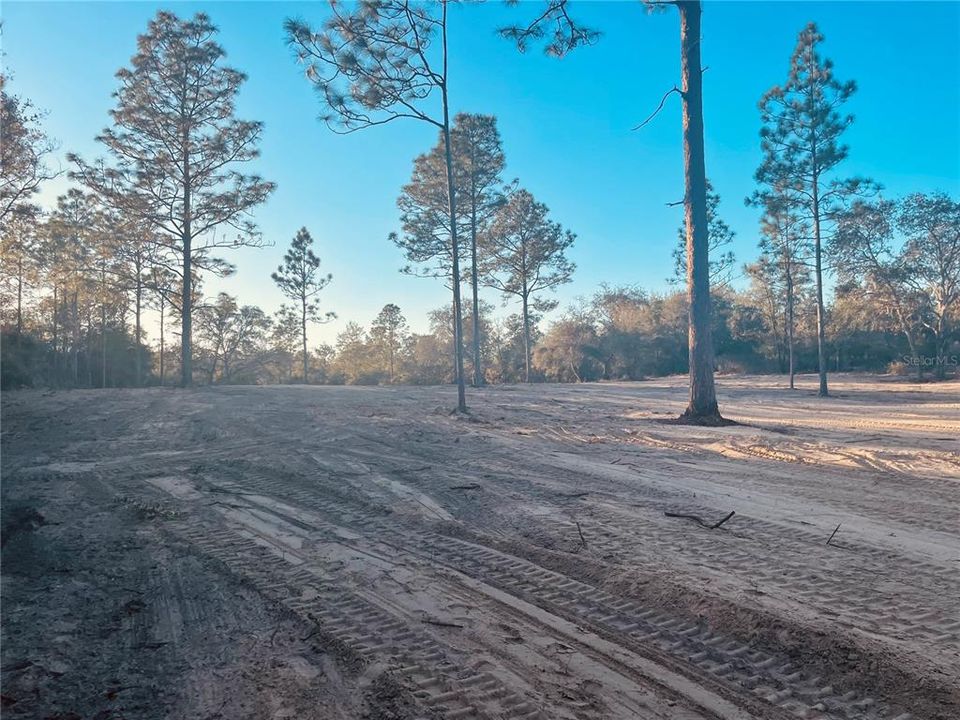 front left looking towards home site