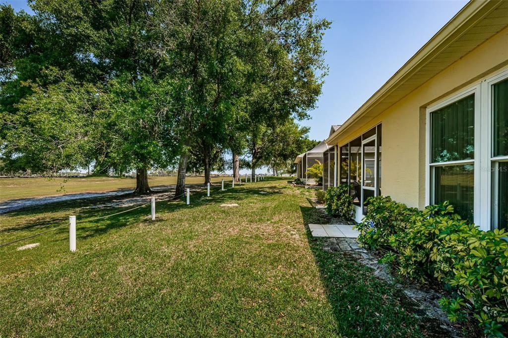 Tree shaded yard