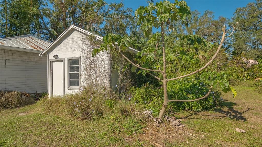 Storage Shed/workspace-has electricity