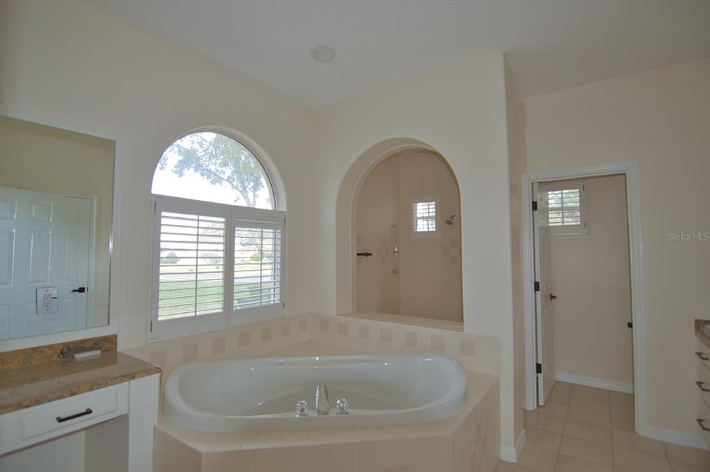 Master bathroom