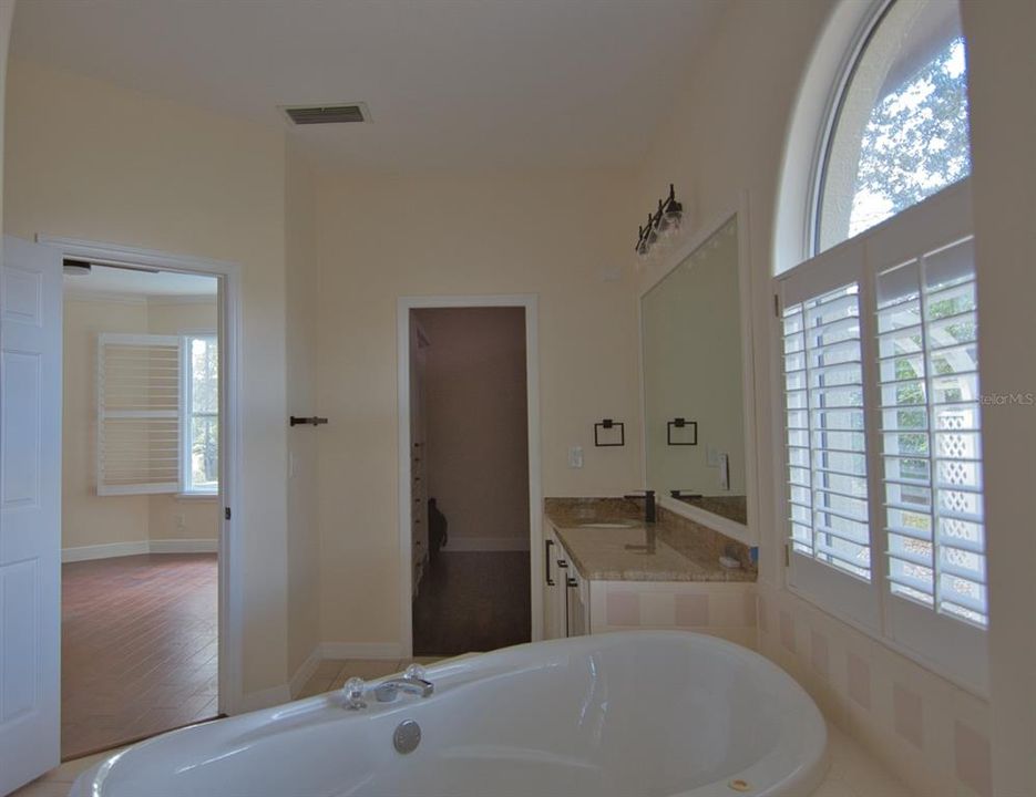 Master bathroom