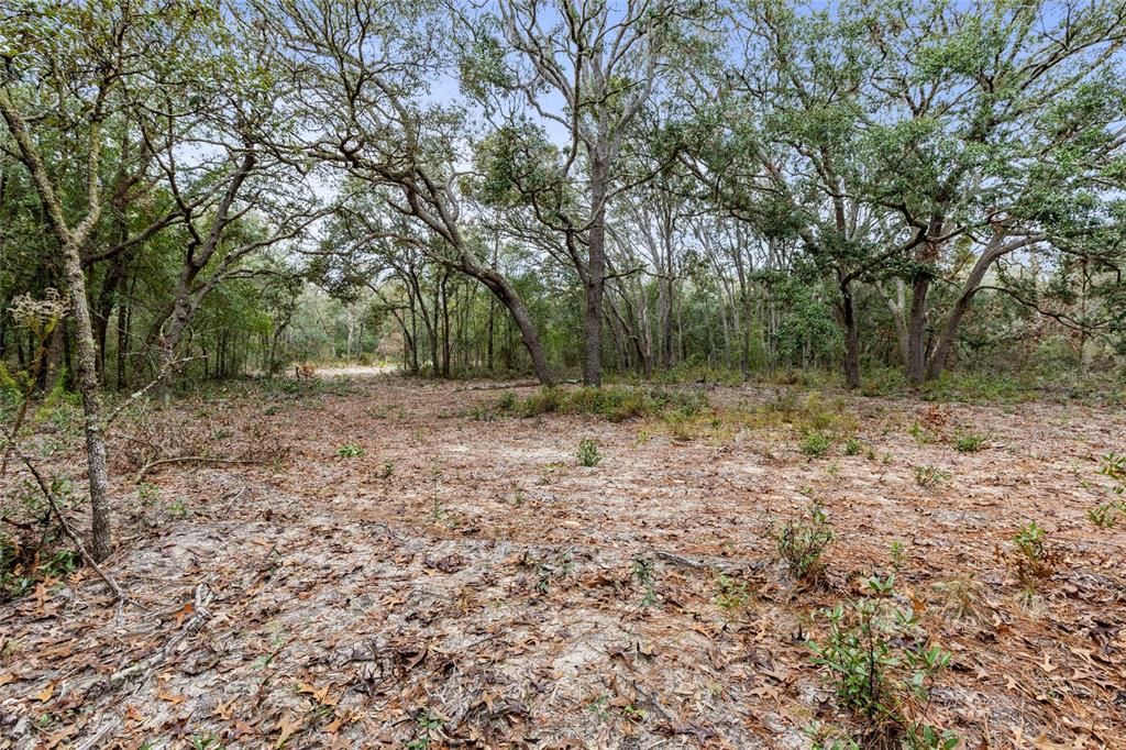 For Sale: $105,000 (5.00 acres)