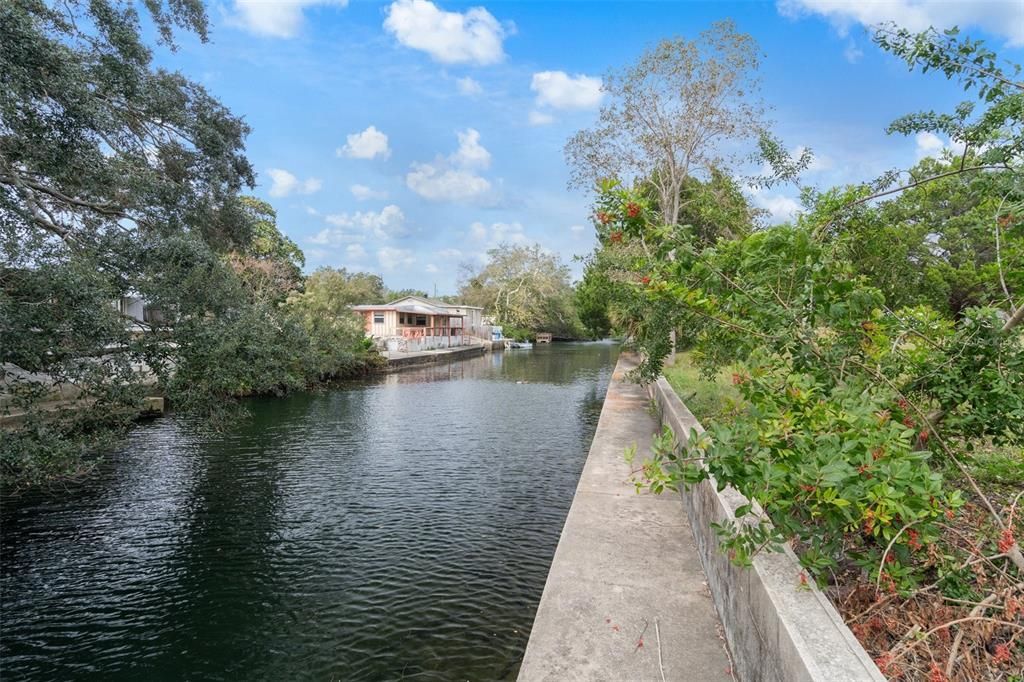 Manatees and fish! What more can you ask for?