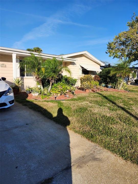 Front Yard Driveway