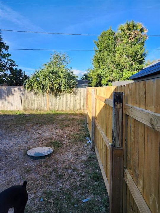 Fenced Back Yard View