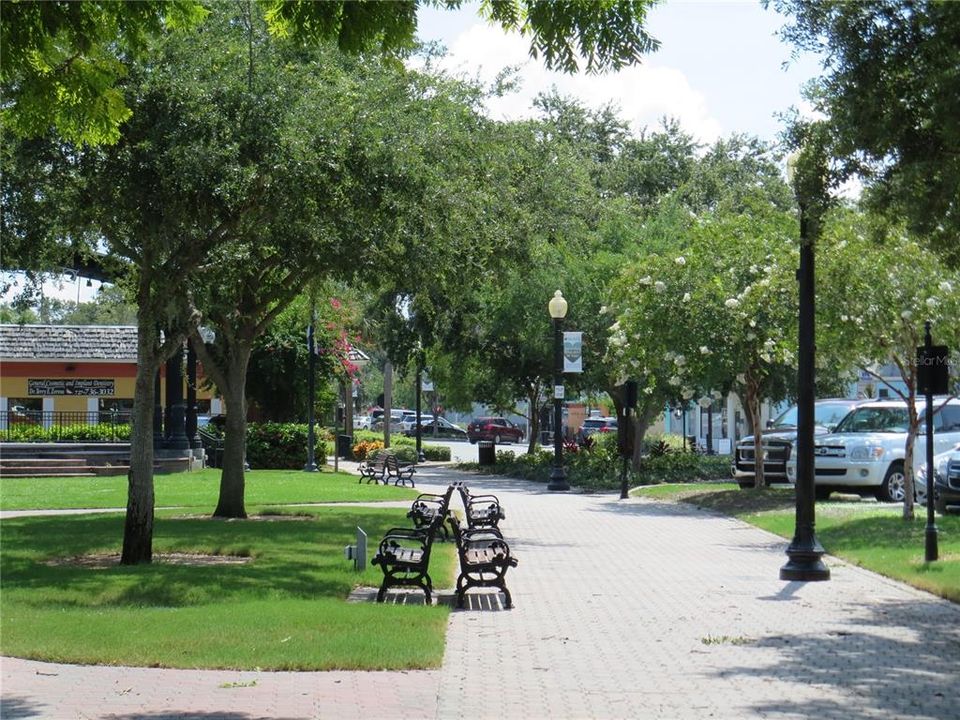 Downtown Dunedin Shopping Area