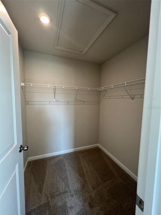 PRIMARY BEDROOM WALK IN CLOSET