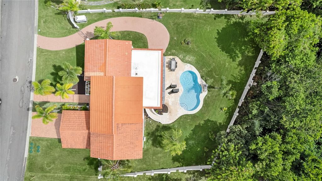 Aerial view of the full lot with concrete fence, side gates and lots of healthy vegetation