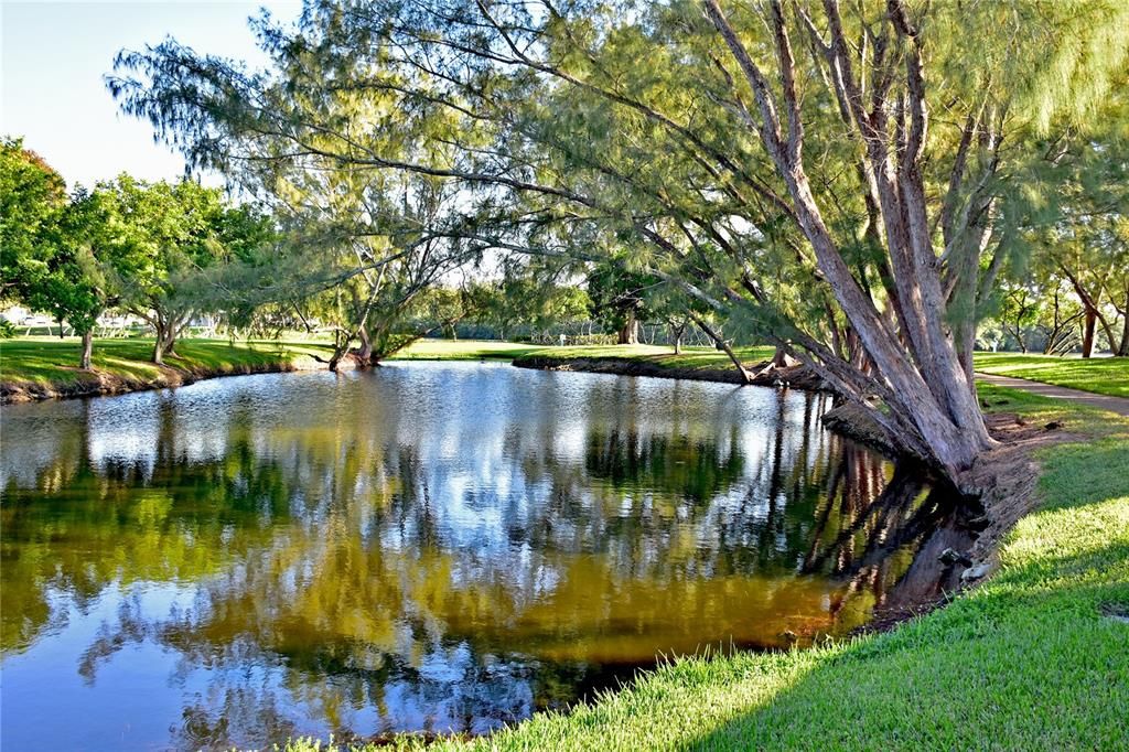 MTV bayfront park pond